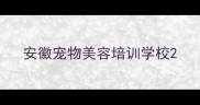 安徽宠物美容培训学校