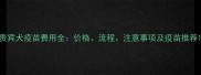 贵宾犬疫苗费用全价格流程注意事项及疫苗推荐