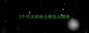 2个月大的哈士奇怎么喂食