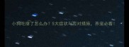 小狗吃撑了怎么办5大症状与应对措施养宠必看