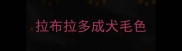 拉布拉多成犬毛色