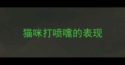 猫咪打喷嚏的表现