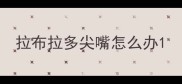 拉布拉多尖嘴怎么办