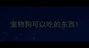 宠物狗可以吃的东西