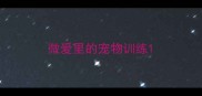微爱里的宠物训练