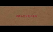 法国斗牛犬狂犬疫苗