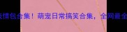 哈士奇站起来表情包合集萌宠日常搞笑合集全网最全哈士奇搞笑瞬间