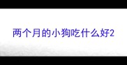 两个月的小狗吃什么好