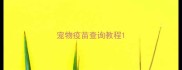 宠物疫苗查询教程