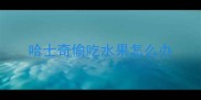 哈士奇偷吃水果怎么办