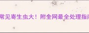 狗狗身上常见寄生虫大附全网最全处理指南附图