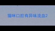 猫咪口腔有异味流血