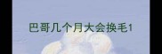 巴哥几个月大会换毛