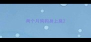 两个月狗狗身上臭