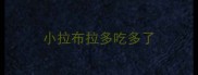 小拉布拉多吃多了