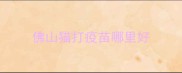 佛山猫打疫苗哪里好