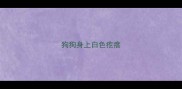 狗狗身上白色疙瘩