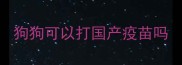 狗狗可以打国产疫苗吗