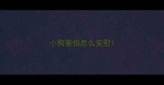 小狗害怕怎么安慰