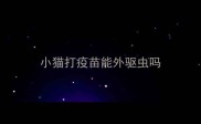小猫打疫苗能外驱虫吗
