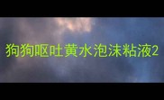 狗狗呕吐黄水泡沫粘液