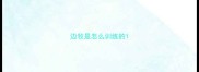 边牧是怎么训练的