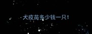 犬疫苗多少钱一只