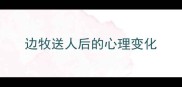 边牧送人后的心理变化