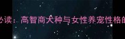 边牧女孩必读高智商犬种与女性养宠性格的完美契合
