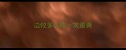 边牧多久吃一次蛋黄