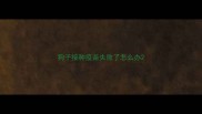 狗子接种疫苗失败了怎么办
