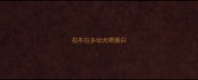 拉布拉多幼犬眼圈白