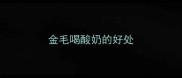 金毛喝酸奶的好处