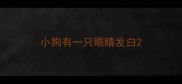 小狗有一只眼睛发白