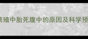 哈士奇繁殖中胎死腹中的原因及科学预防指南