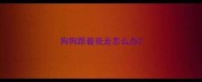 狗狗跟着我走怎么办