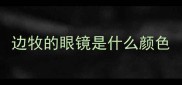 边牧的眼镜是什么颜色