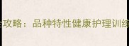 泰迪犬饲养全攻略品种特性健康护理训练技巧大公开