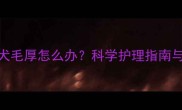拉布拉多幼犬毛厚怎么办科学护理指南与常见误区全