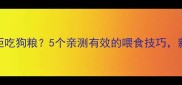 金毛幼犬挑食拒吃狗粮5个亲测有效的喂食技巧新手家长必看