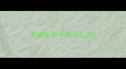 泰迪毛很干燥怎么办