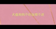犬瘟狗狗不吃饭喂不进