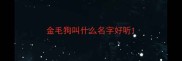 金毛狗叫什么名字好听
