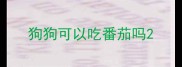 狗狗可以吃番茄吗