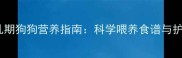 主产后哺乳期狗狗营养指南科学喂养食谱与护理要点全