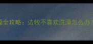 边境牧羊犬洗澡全攻略边牧不喜欢洗澡怎么办科学护理指南