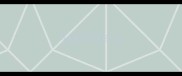 母金毛和公金毛大小