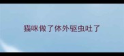 猫咪做了体外驱虫吐了