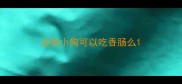 边牧小狗可以吃香肠么