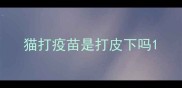 猫打疫苗是打皮下吗